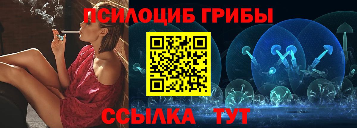 Псилоцибиновые грибы мицелий  как найти наркотики  Менделеевск  Вход с VPN 